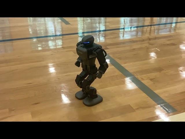 Robosen K1 Robot Voice Commands