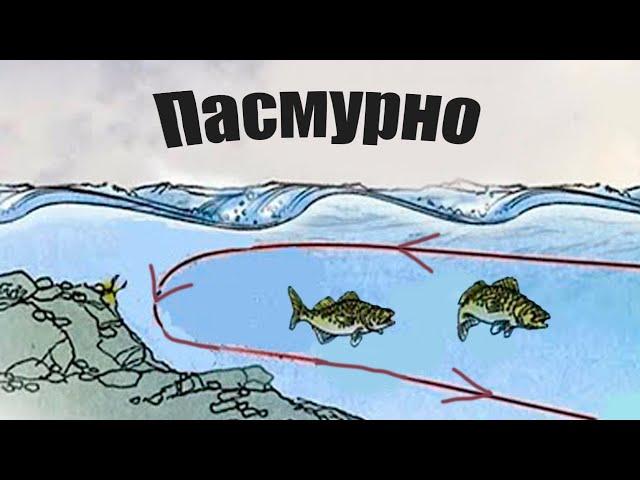 Почему в пасмурную погоду, бесполезно ехать на рыбалку?