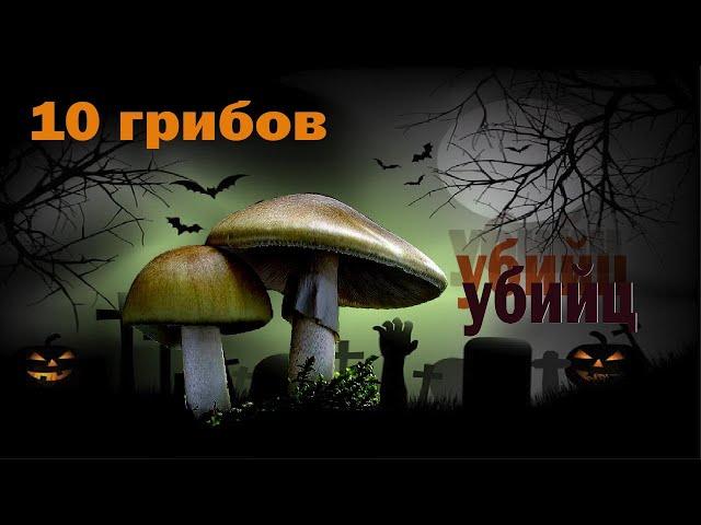 СМЕРТЕЛЬНО ОТРУЙНІ ГРИБИ УКРАЇНИ