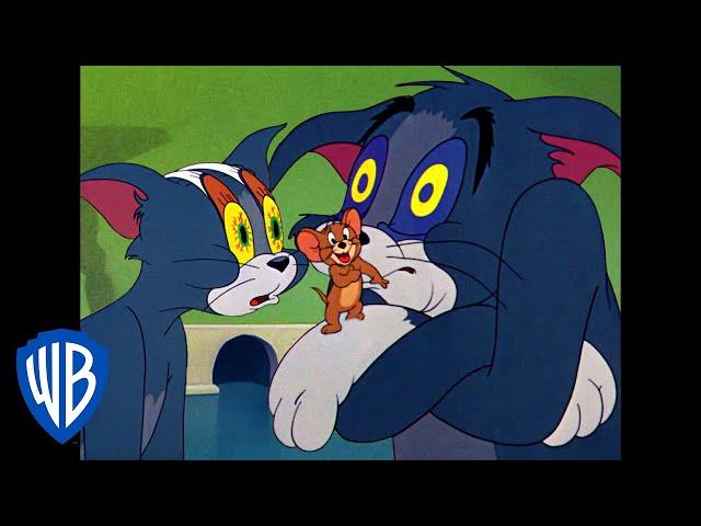 Tom & Jerry in italiano | Tom l'assonnato | WB Kids