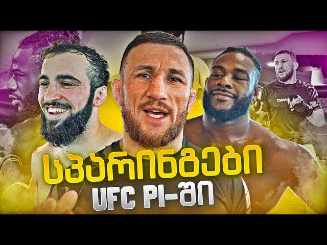 სპარინგი  / UFC PI / Aljamain Sterling / რა მოხდა შეჯიბრზე?