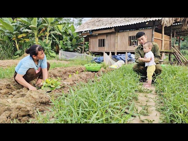 Gardening vegetables to prepare for the upcoming winter crop