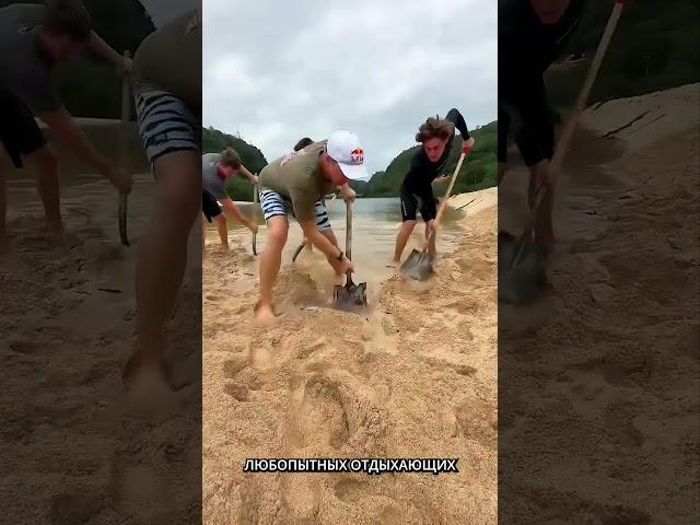 Они объединили два водоёма — и вот что началось... 