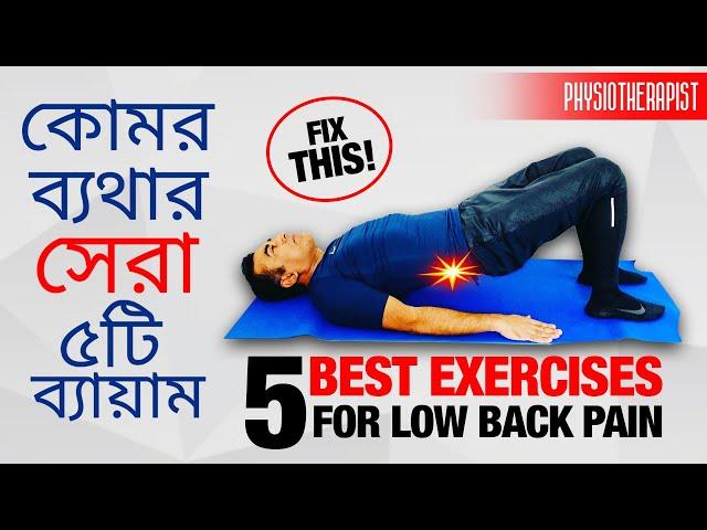 কোমর ব্যথার সেরা ৫ টি ব্যায়াম | 5 BEST EXERCISES FOR LOW BACK PAIN in BENGALI & ENGLISH