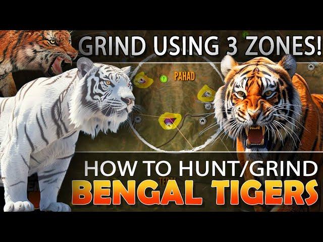 TIGER GUIDE:  HOW to GRIND TIGERS Using ONLY 3 DRINK ZONES!!! - Call of the Wild