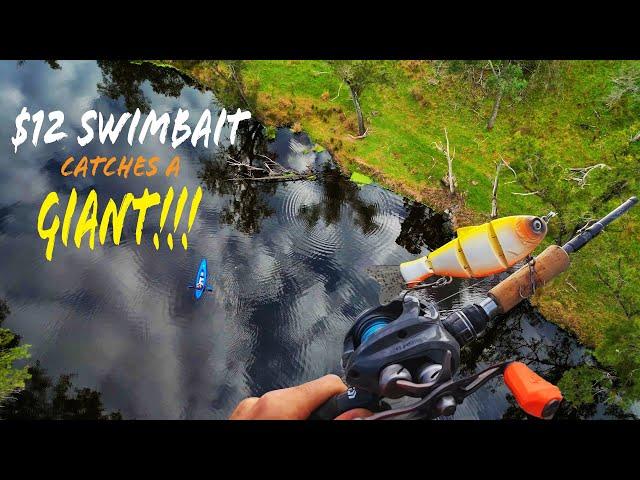 $12 swimbait Catches A Giant!!!