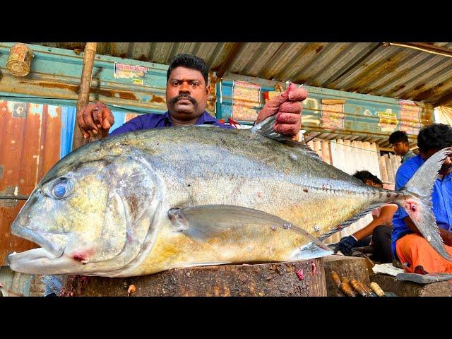 KASIMEDU  SPEED SELVAM | 27 KG GIANT TREVALLY FISH CUTTING VIDEO | IN KASIMEDU | FF CUTTING 