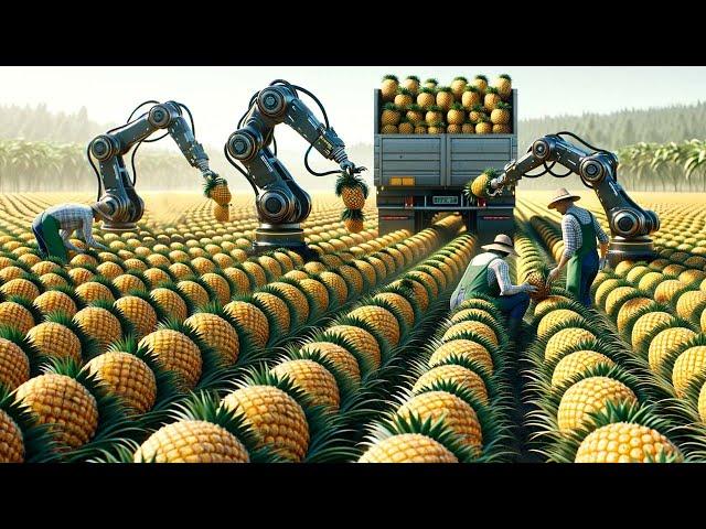 US Farmers Use Robots To Harvest Millions Of Tons Of Fruits And Vegetables