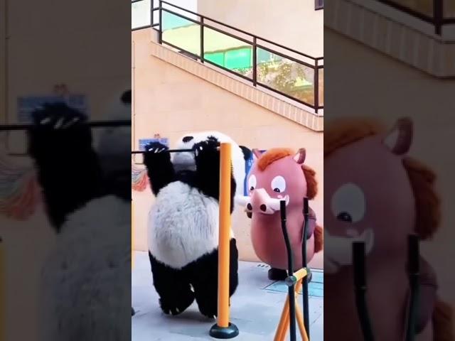 #viral #trending #youtube #tube #fyp #fyptube #dance #viraltube #cats #cat #funny #panda #ترند