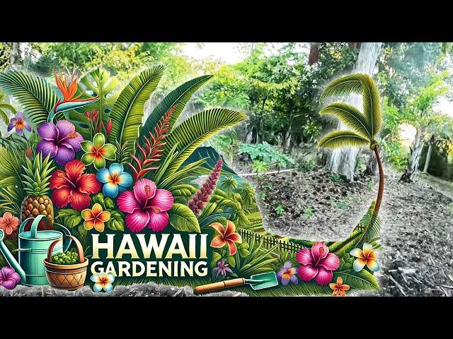 Hawaii Gardening - Cut Back Our Lilikoi - Big Island of Hawaii