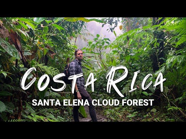 Santa Elena Cloud Forest, Monteverde, Costa Rica | Travel Vlog