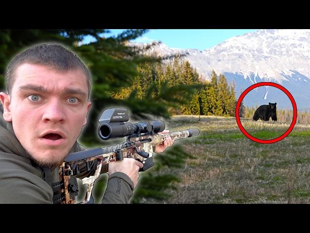 I Hunted Black Bears in the Mountains!