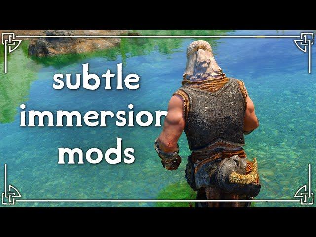 Skyrim Immersion mods that I don't play without