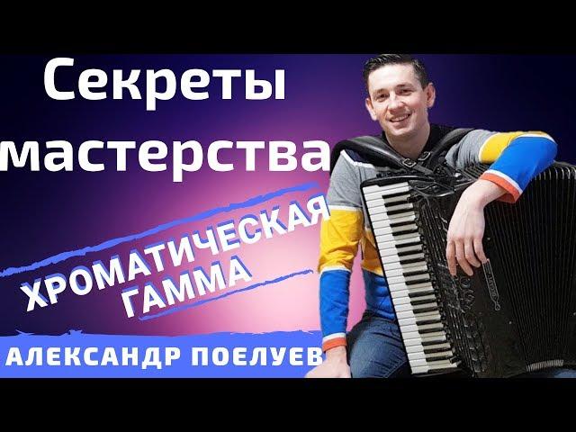 Как быстро научиться играть на аккордеоне Хроматическую гамму? СЕКРЕТЫ МАСТЕРСТВА #1