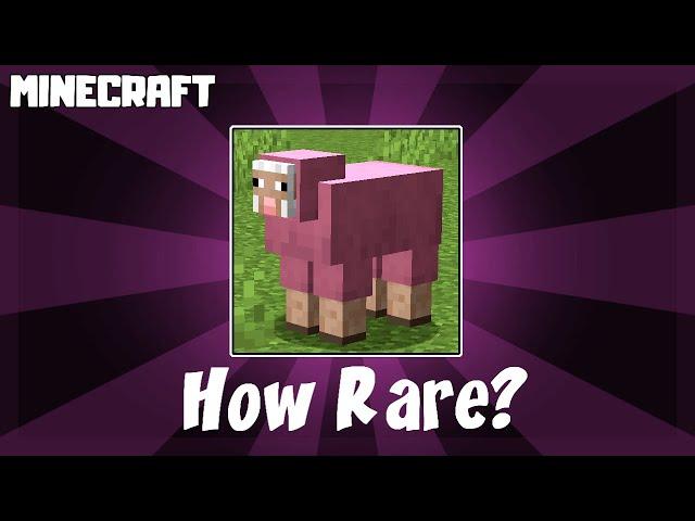 How Rare is it to Find Pink Sheep in Minecraft!