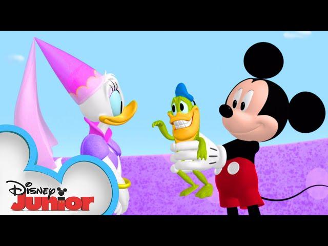 Donald Turns into a Frog | Mickey Mornings | Mickey Mouse Clubhouse | @disneyjr