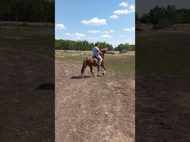 #ТатарАлга #АЛГА #татарстан