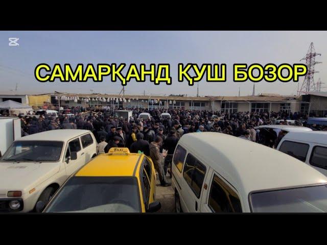 Самарканд қуш бозори 09.03.2025 йил.#uzbekistan #youtube #youtubeshorts #samarkand#samarqand#shorts