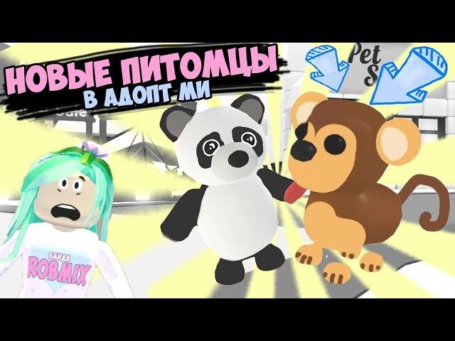 New Pets in adopt mi! Super news! Opening eggs in adopt me in roblox