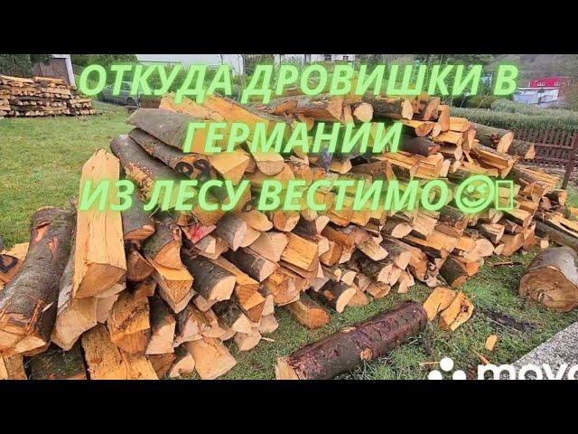 Где взять дрова в Германии??? Сколько мы заплатили?