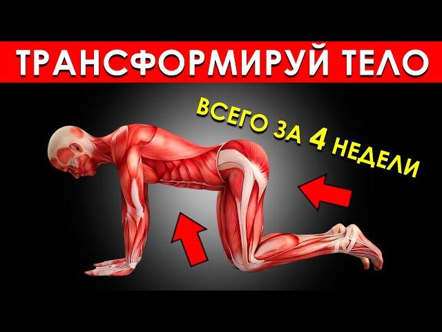 5 Простых Упражнений Для Мужчин, Которые Трансформируют Ваше Тело Всего за 4 Недели