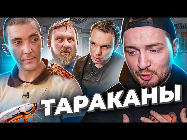 НА НОЖАХ - Тараканы в еде