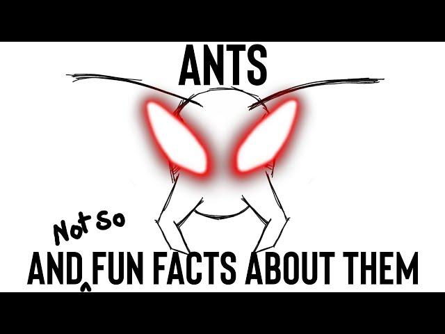 Ants And Not So Fun Facts About Them