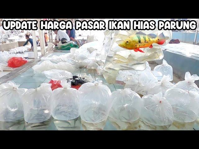 UPDATE HARGA PASAR IKAN HIAS PARUNG‼️