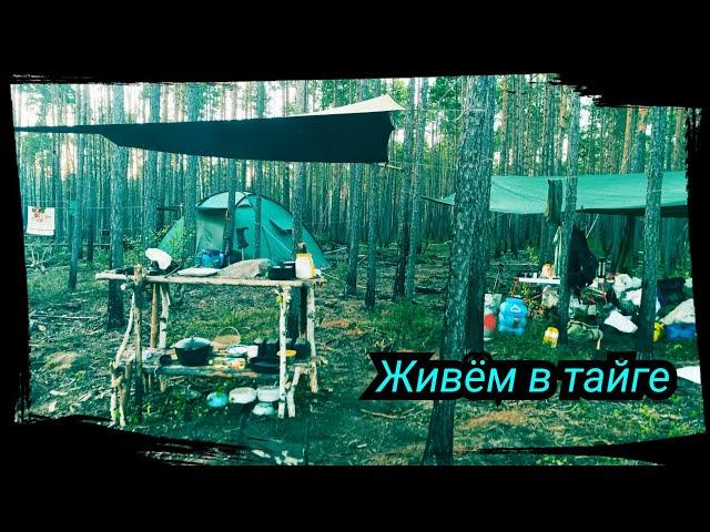 ЖАРИМ РЫБУ, ПЕКЁМ ХЛЕБ В ТАЙГЕ / ЖЕРЛИЦА ПО ГИЛОВСКИЙ))  Bushcraft ( # 3/5. )