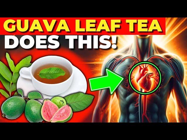 11 Reasons to Drink Guava Leaf Tea Daily (Guava Leaf Tea Benefits)