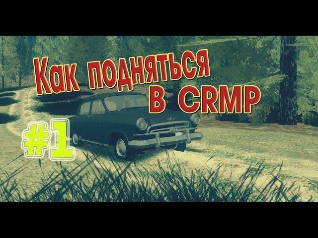 БОТ для CRMP | Как подняться в CRMP #1