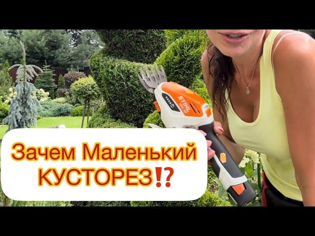 ЗАЧЕМ Маленький КУСТОРЕЗ⁉️