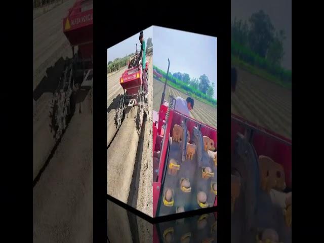 देखिए कैसे चलती है Automatic Potato Planting Machine | Kisan Ki Favourite Machine