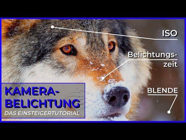 Filmen lernen für Anfänger |  Belichtungszeit, Blende, ISO, ERKLÄRUNG