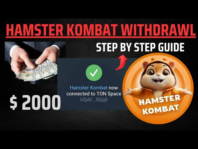 How to Withdraw from Hamster Kombat: Step-by-Step Guide