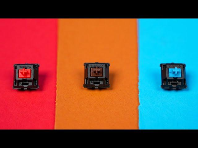 Red Switches vs Brown Switches vs Blue Switches | Mechanical Keyboard Comparison