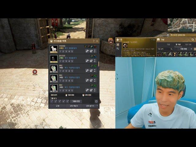 BDO - New Pet Skill Change? | Black Desert Highlights