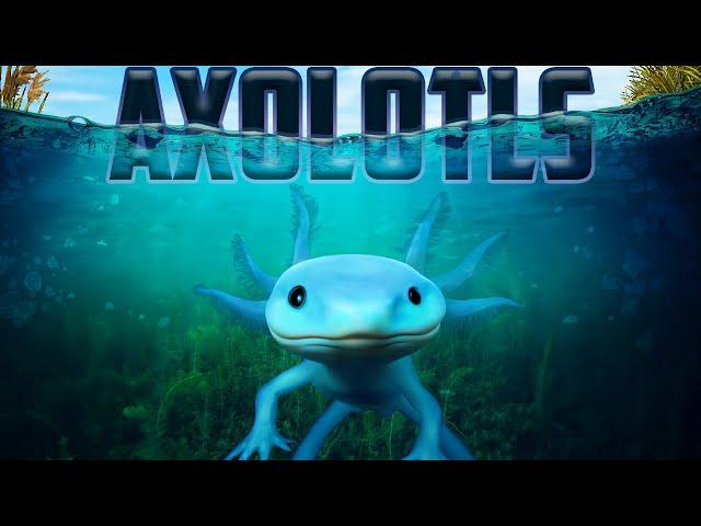 Axolotl Facts!