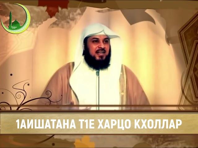 Шейх Мухьаммад аль-Арифи: 1аишатана т1е харцо кхоллар".