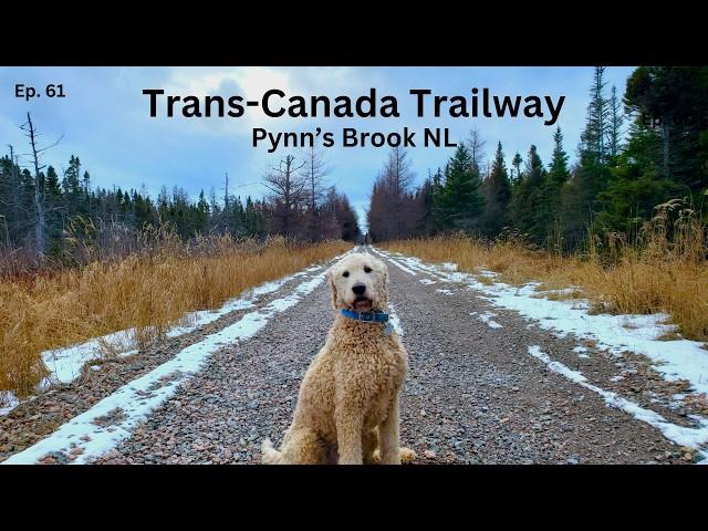 Wandering through the Trans-Canada Trailway!