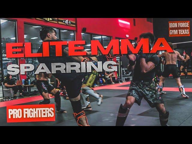 INSANE ELITE MMA SPARRING | IRON FORGE GYM TEXAS #boxing  #muaythai #mma #sparring #kickboxing #bjj