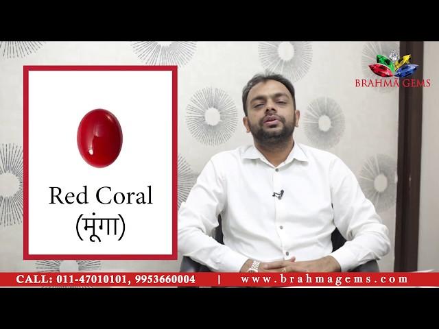 Know Important Facts About Natural Red Coral ( मूंगा ) Stone || Brahma Gems || 011-47010101