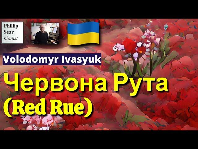 Volodomyr Ivasyuk: Червона Рута (Red Rue)