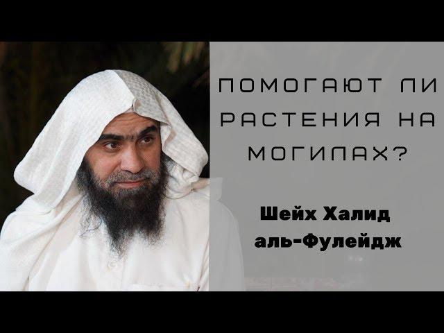 Помогают ли растения на могиле умершему? — Шейх Халид аль-Фулейдж