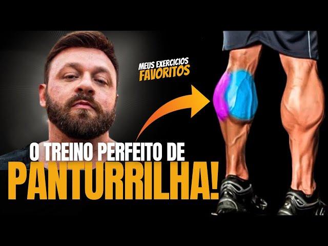 3 EXERCICIOS QUE VÃO MUDAR SUAS PANTURRILHAS *séries e repetições*