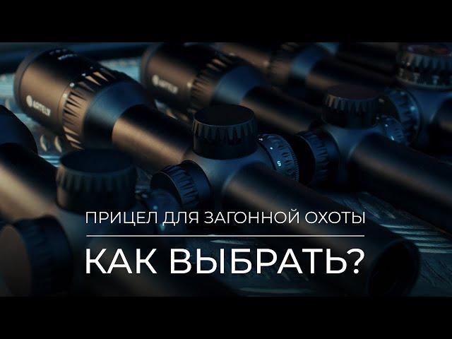 Прицел для загонной охоты: как выбрать?