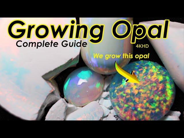 Growing Gemstones Growing a real opal at home and we cut it!