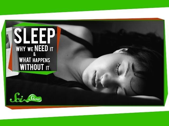 Sleep: Why We Need It and What Happens Without It