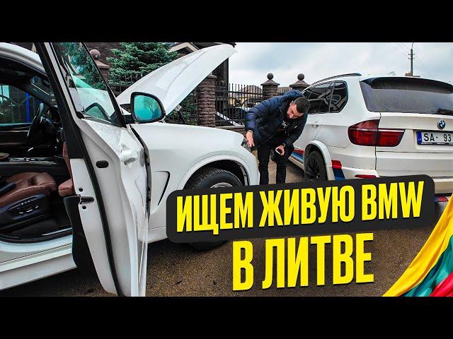 КАК МЫ ПОКУПАЛИ ЖИВОЙ BMW X5 F15 ЗАПАХ РЕШАЕТ!