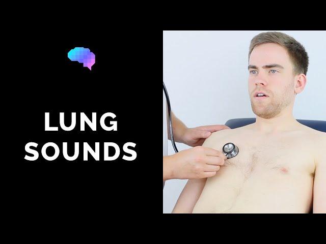 Lung sounds (respiratory auscultation sounds) | UKMLA | CPSA | PLAB 2